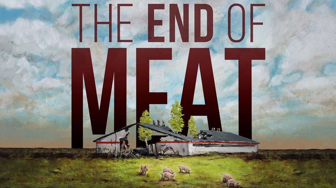 Un mundo sin carne | Documental Salud