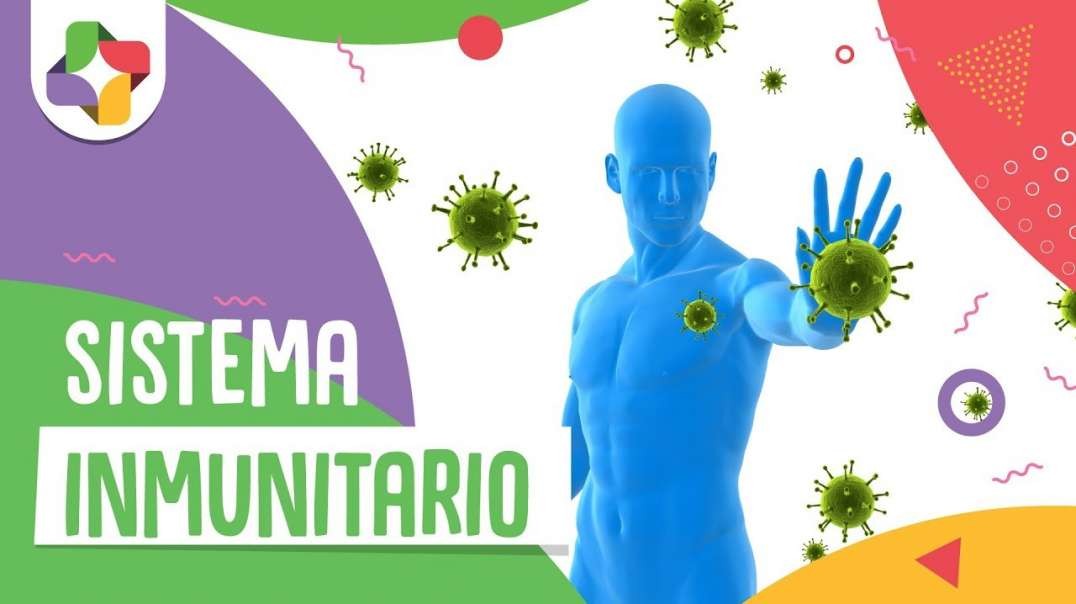 La Gripe y el Sistema Inmunitario