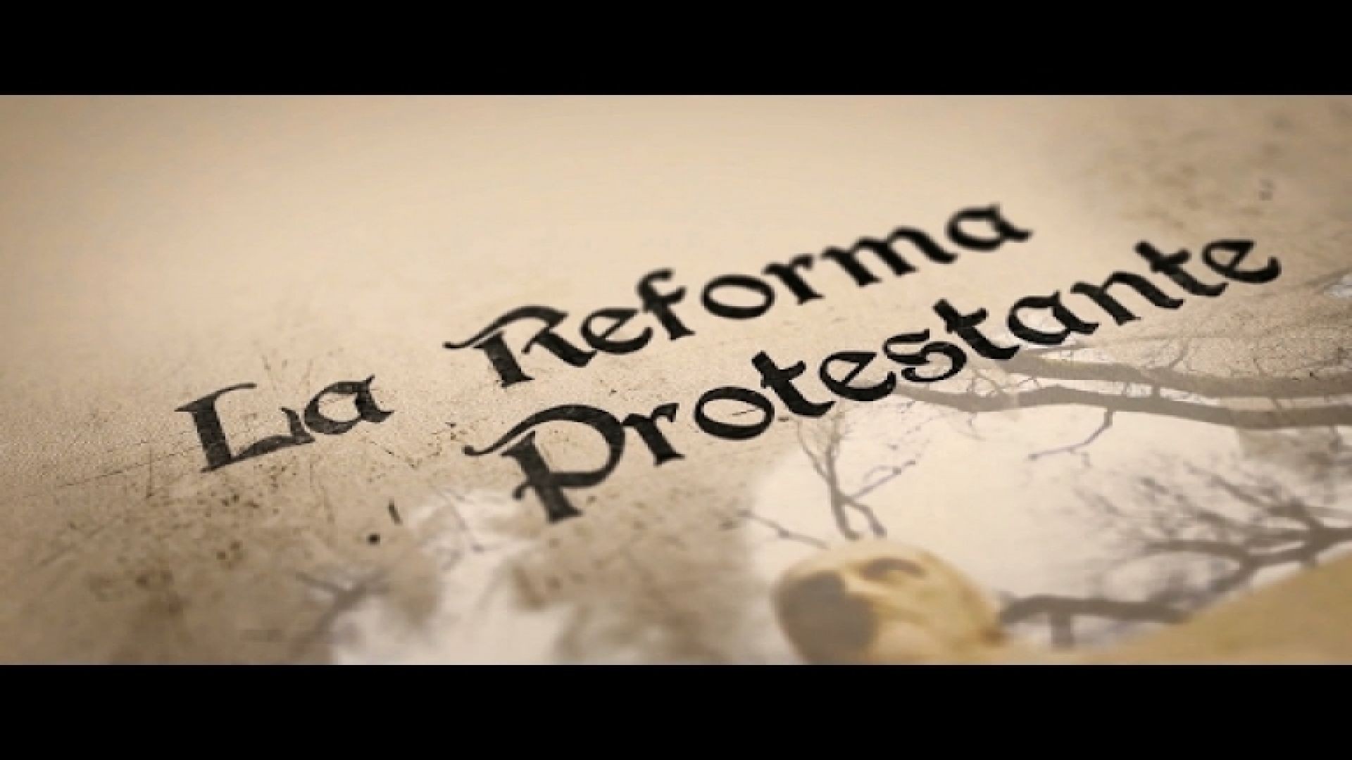 ⁣La Reforma Protestante
